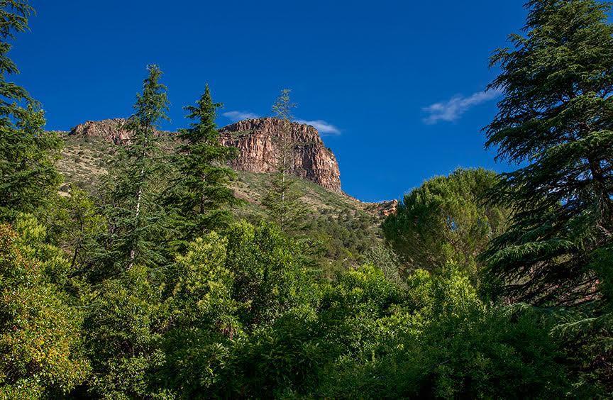 Briar Patch Inn Sedona Exteriér fotografie
